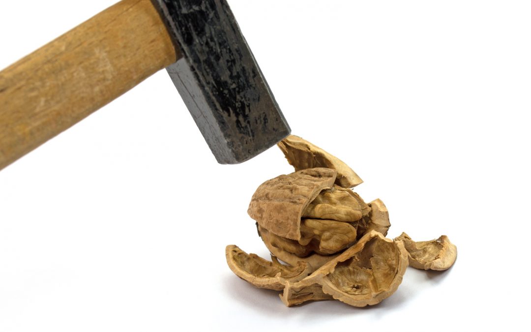 Leave your OS at home: the rise of library operating systems