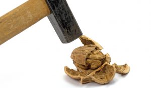 Leave your OS at home: the rise of library operating systems