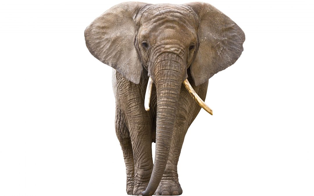 What Happens to Us Does Not Happen to Most of You