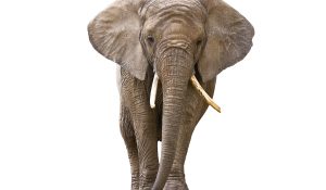 What Happens to Us Does Not Happen to Most of You