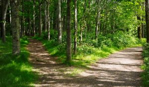 Easy Persistent Memory Performance Wins