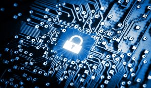 Sacrificing Interoperability for Information Security: Containing Data Loss and Malware Propagation