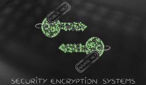 Approaches to System Security: Using Cryptographic Techniques to Minimize Trust
