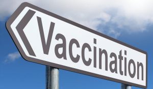 Please Disclose Security Vulnerabilities!