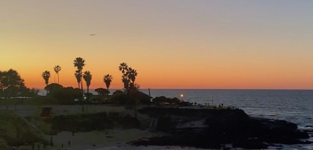 Call for Workshops and Tutorials: CGO 2020