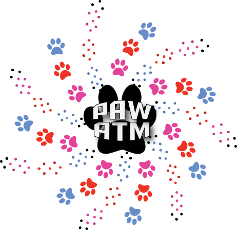 PAW-ATM: Parallel Applications Workshop, Alternatives To MPI+X