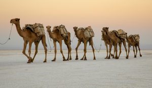 Modestly Better Prefetching