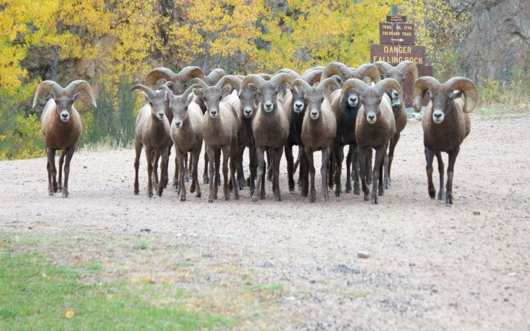 The Persistence of Non-Volatile Memory: Exploiting the Growing Design Space