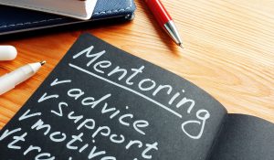 A Call for Participation in The 2023-2024 Computer Architecture Long-term Mentorship Program